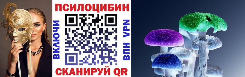 blacksprut вход  Пятигорск  Псилоцибиновые грибы Psilocybine cubensis 